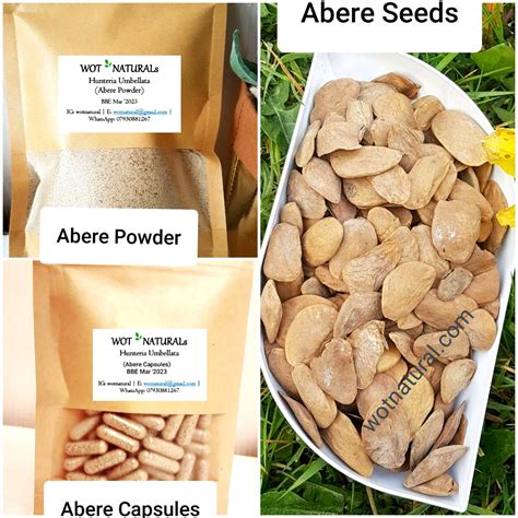 You can also soak <b>abere</b> <b>seed</b> in coconut water and drink. . Where abere seed found